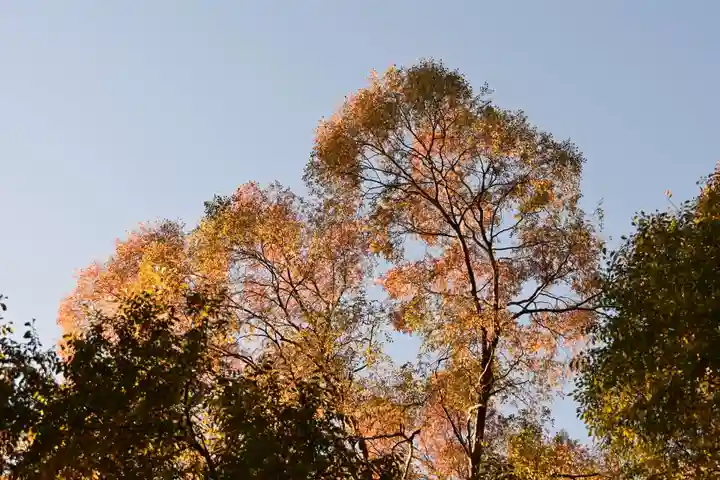 阿波神社(徳島県)
