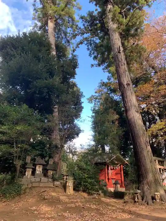 麻賀多神社(千葉県)