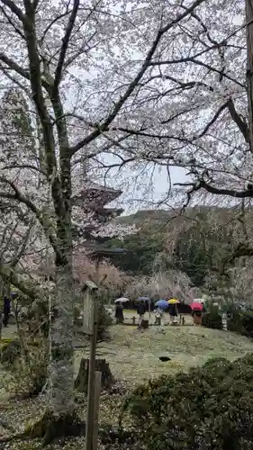 醍醐寺(京都府)