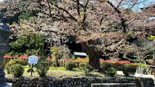 橘寺の庭園