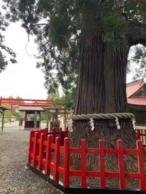 志和古稲荷神社のその他建物