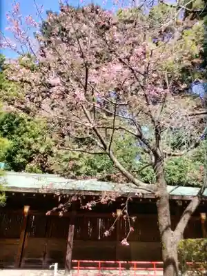 代々木八幡宮(東京都)