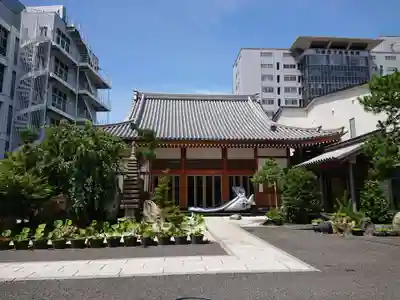 真光寺の本殿・本堂