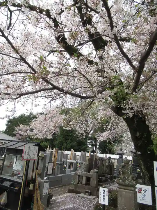 真光寺(千葉県)