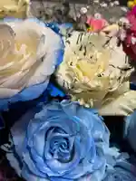 札幌諏訪神社の手水舎