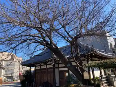 感通寺(東京都)