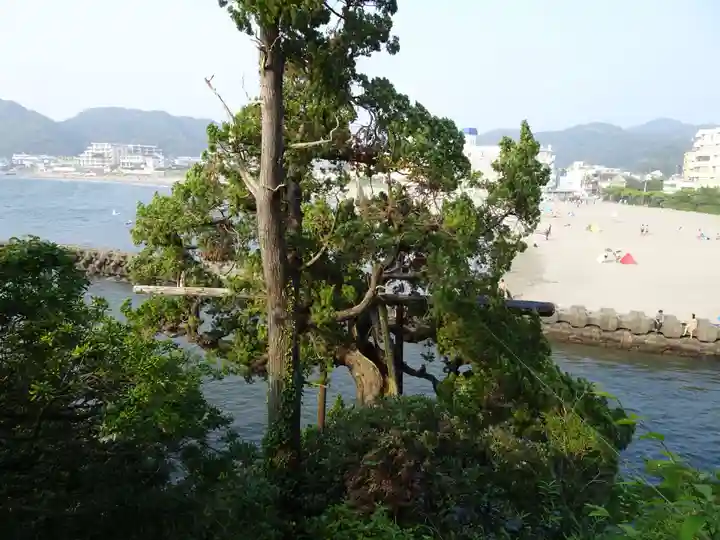 森戸大明神(森戸神社)の自然