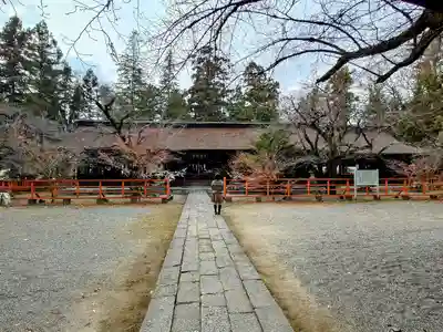 大井俣窪八幡神社の本殿・本堂