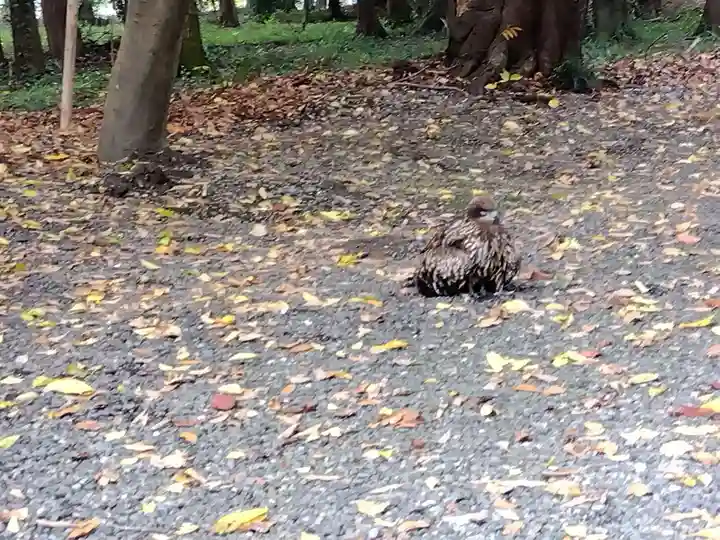 湯次神社(滋賀県)