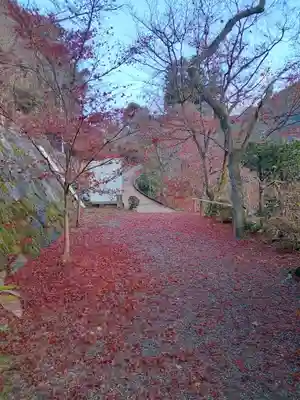 長谷寺(奈良県)