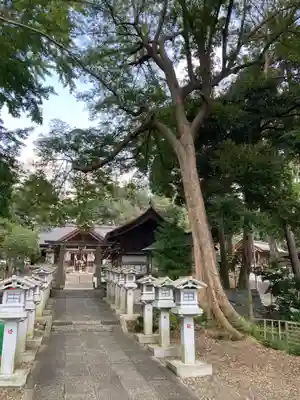 塚崎神明社(千葉県)