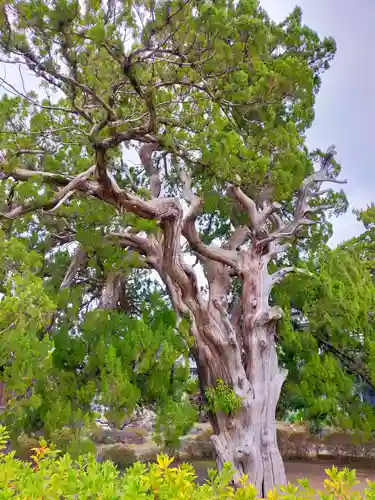 浄念寺(和歌山県)