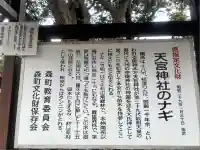 天宮神社(静岡県)