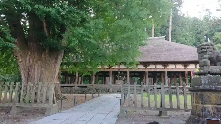 新宮熊野神社のその他建物