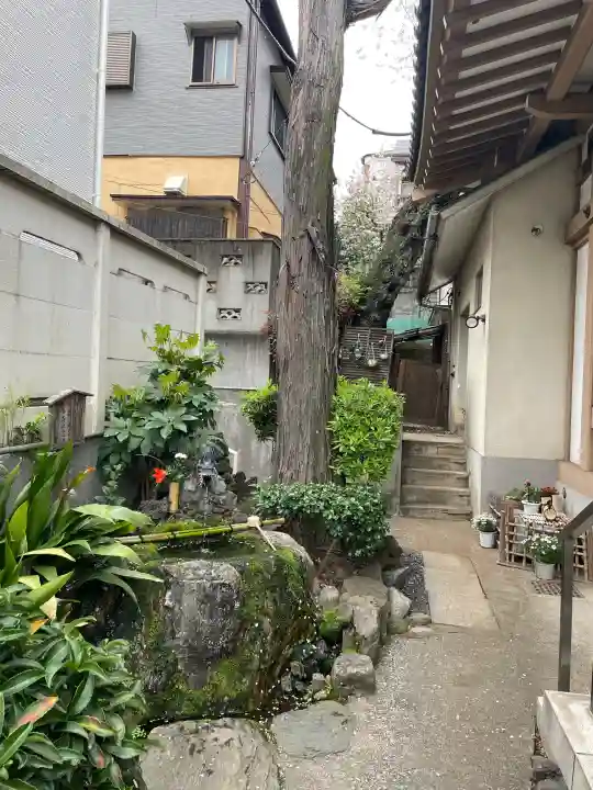 東光寺別院桜ヶ池不動院の{uncategorized: "未分類", other: "その他", undefined: "問題あり", building: "その他建物", grave: "お墓", sacred_gate: "鳥居", guardian: "狛犬", statue: "像", buddha: "仏像", history: "歴史", nature: "自然", garden: "庭園", animal: "動物", pagoda: "塔", temizu: "手水舎", mountain_gate: "山門・神門", sanctuary: "本殿・本堂", subordinate: "末社・摂社", art: "芸術", scenery: "景色", jizo: "地蔵", ema: "絵馬", goshuin: "御朱印", omikuji: "おみくじ", items: "授与品その他", amulet: "お守り", goshuincho: "御朱印帳", eats: "食事", festival: "お祭り", votive_dance: "神楽", shichigosan: "七五三参", wedding: "結婚式", experience: "体験その他", initially: "初詣", around: "周辺", anti_infection: "感染症対策"}