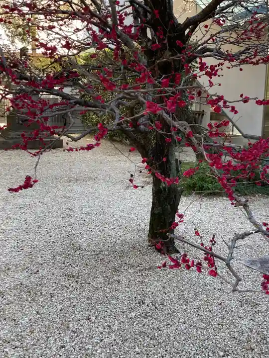 勝楽寺(東京都)