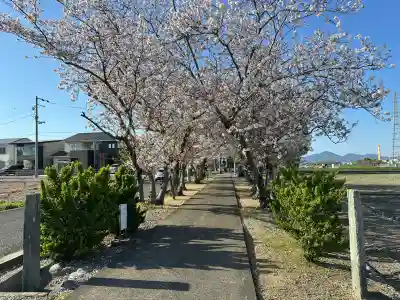 王子和多津美神社の{uncategorized: "未分類", other: "その他", undefined: "問題あり", building: "その他建物", grave: "お墓", sacred_gate: "鳥居", guardian: "狛犬", statue: "像", buddha: "仏像", history: "歴史", nature: "自然", garden: "庭園", animal: "動物", pagoda: "塔", temizu: "手水舎", mountain_gate: "山門・神門", sanctuary: "本殿・本堂", subordinate: "末社・摂社", art: "芸術", scenery: "景色", jizo: "地蔵", ema: "絵馬", goshuin: "御朱印", omikuji: "おみくじ", items: "授与品その他", amulet: "お守り", goshuincho: "御朱印帳", eats: "食事", festival: "お祭り", votive_dance: "神楽", shichigosan: "七五三参", wedding: "結婚式", experience: "体験その他", initially: "初詣", around: "周辺", anti_infection: "感染症対策"}