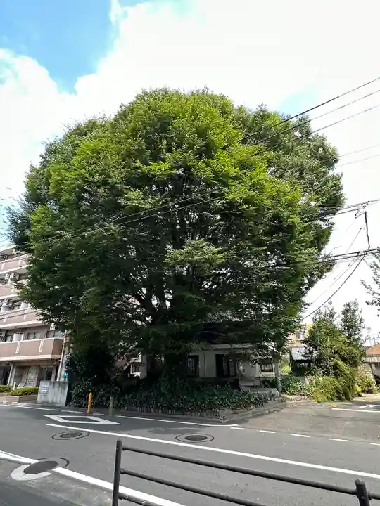 小野神社(東京都)