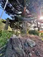 京都乃木神社(京都府)