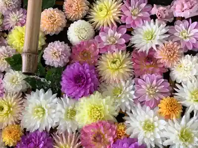 千歳神社の手水舎