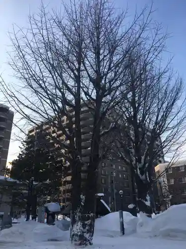 北海道神宮頓宮の自然