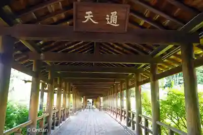 東福禅寺(東福寺)(京都府)