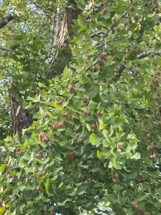 西光院(茨城県)