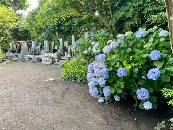 教恩寺(神奈川県)