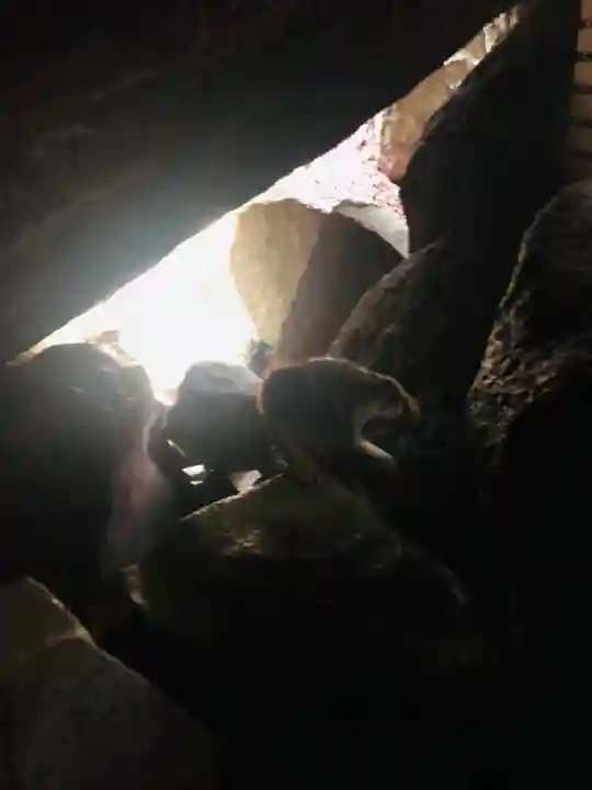 磐船神社(大阪府)