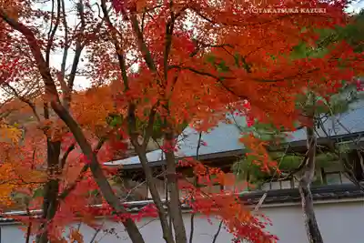 宝徳寺(群馬県)