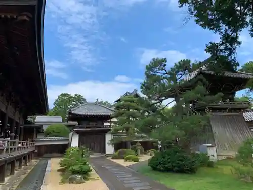 智恩寺の庭園