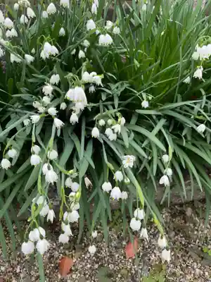 崇道天皇社(奈良県)