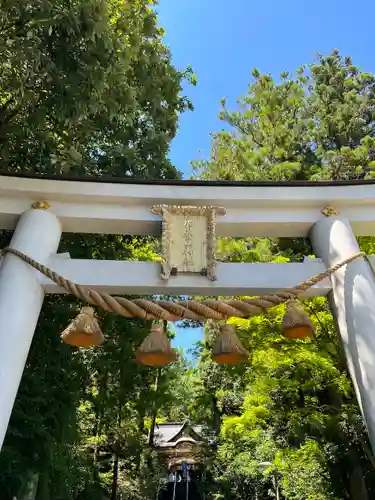 宝登山神社の鳥居