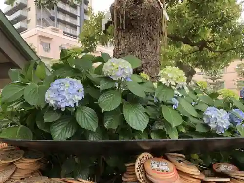 今戸神社のその他建物