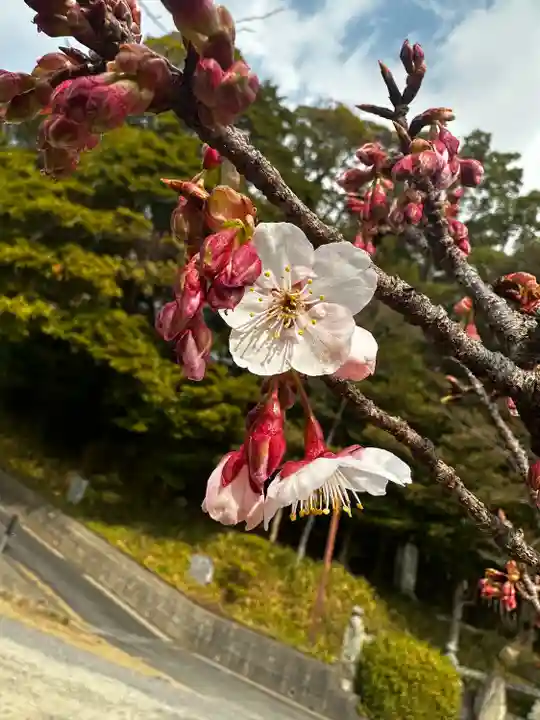 山﨑八幡宮(山口県)
