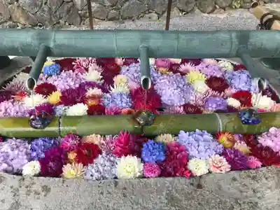 岡寺（龍蓋寺）の手水舎