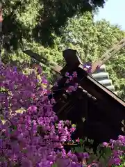 伊奈冨神社の自然