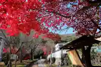 勝持寺(花の寺)(京都府)