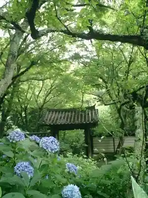 瑞泉寺の山門・神門