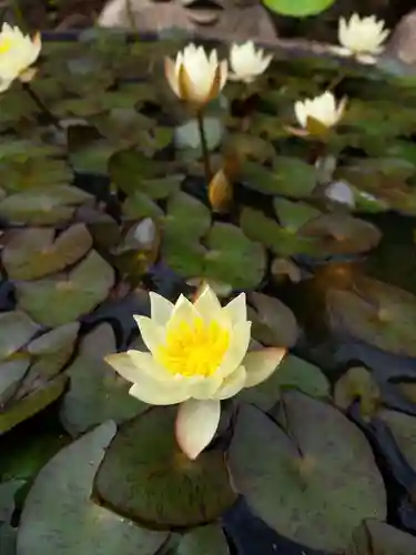 長善寺(東京都)
