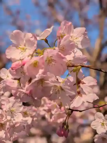 神明氷川神社(東京都)