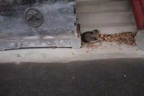 山八幡神社のその他建物