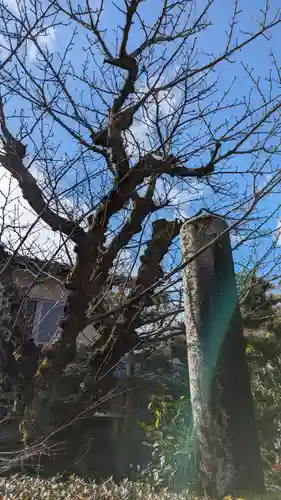 證安院(京都府)