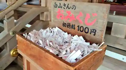 白山比咩神社のおみくじ