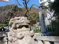 乃木神社の狛犬
