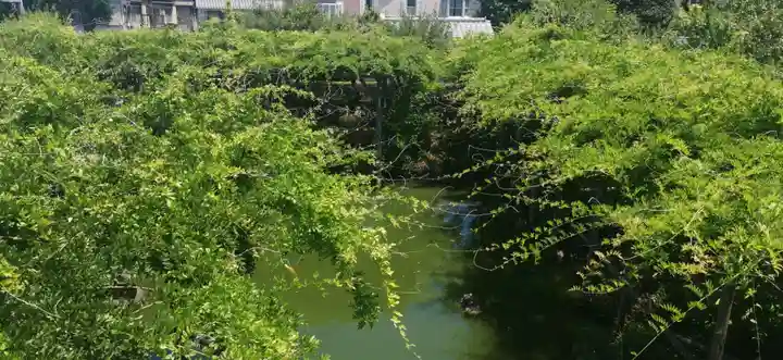 亀戸天神社(東京都)