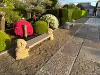 満徳寺(千葉県)