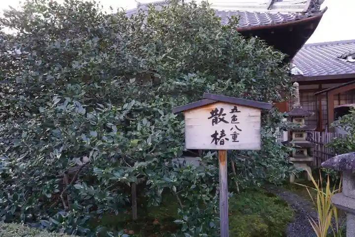 地蔵院(椿寺)のその他建物