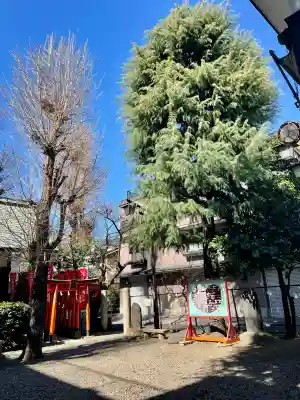 諏訪神社(東京都)