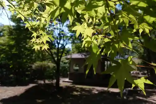 能勢妙見山（真如寺境外仏堂）の自然